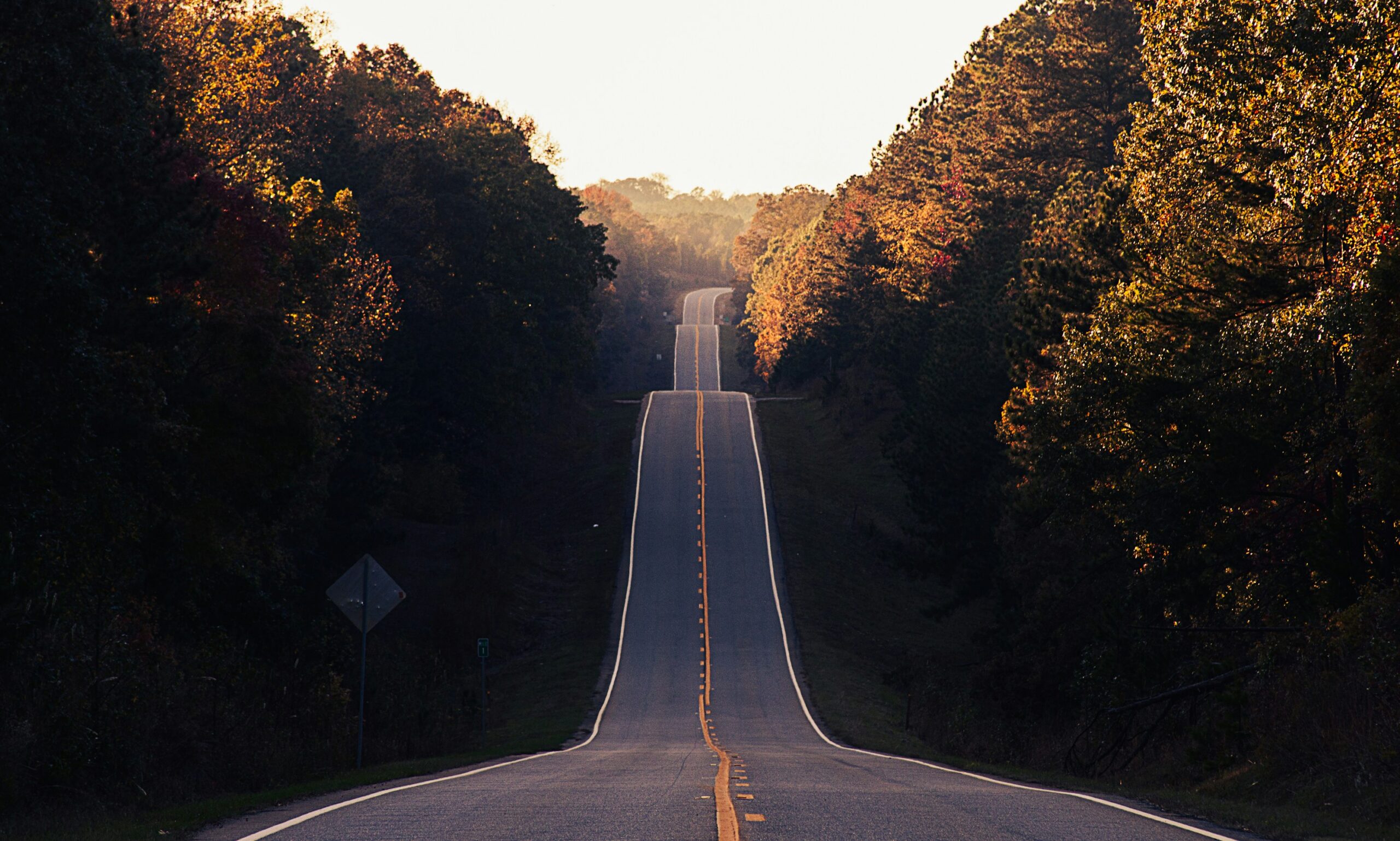 Our journey